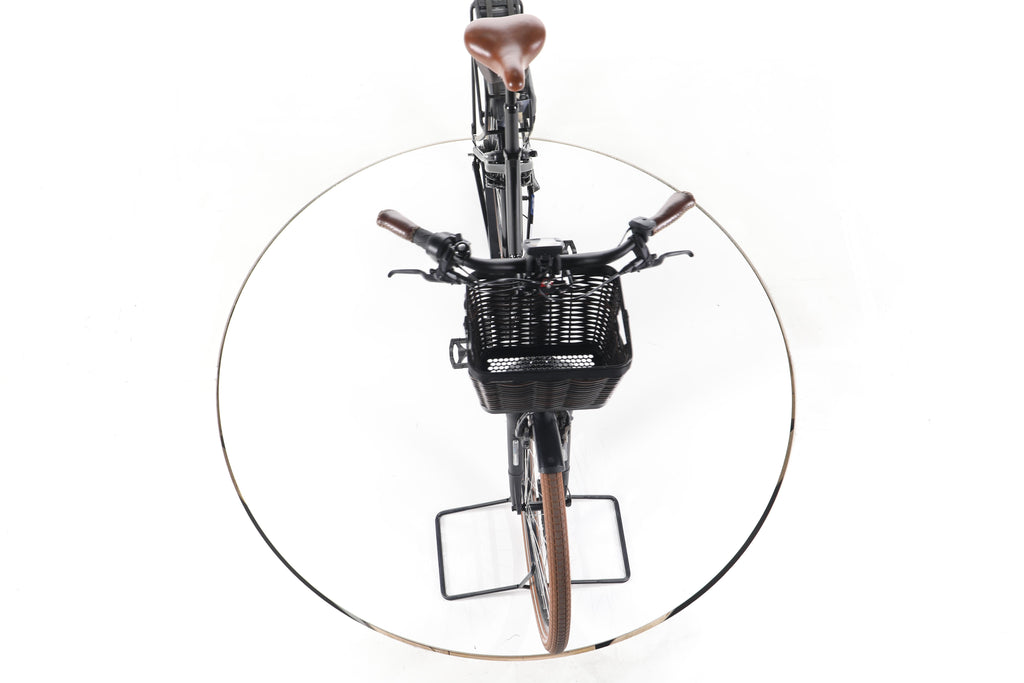Riese & Müller Swing vario City E-Bike Tiefeinsteiger - Image 16
