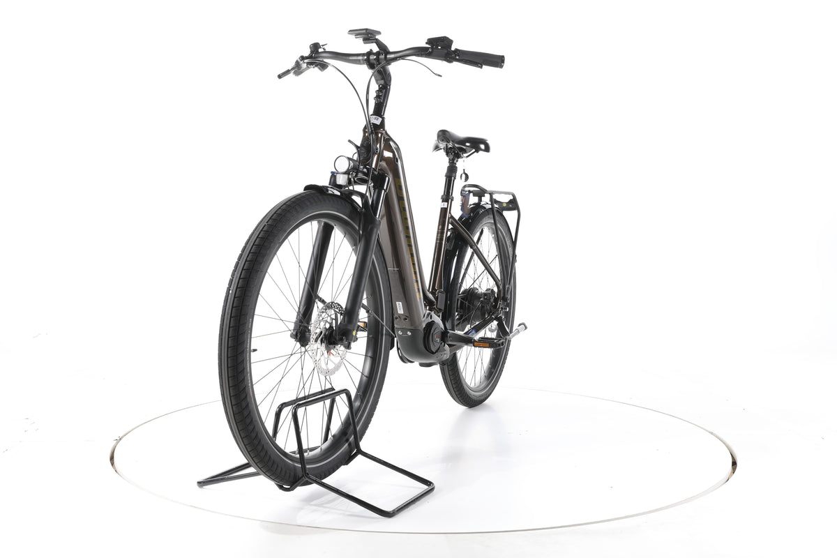 Diamant Opal Esprit City E-Bike Tiefeinsteiger - Image 5