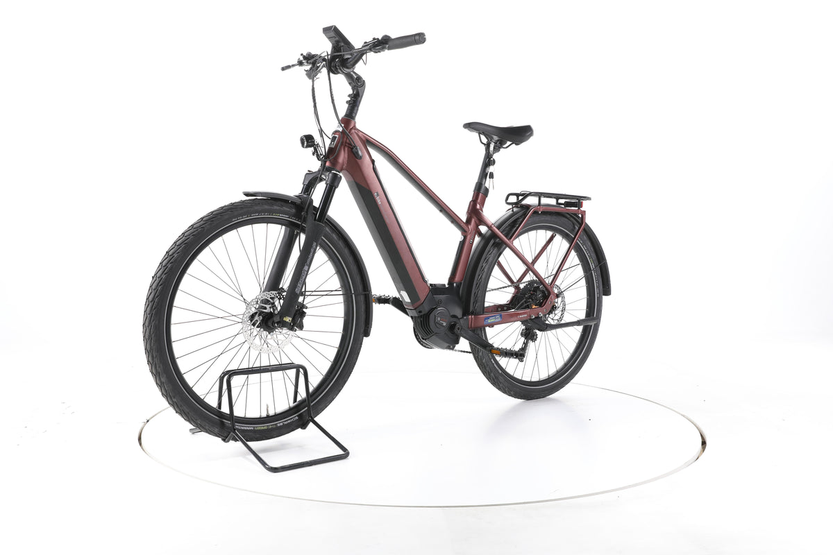 EBIKE 13ZEHN Trekking E-Bike - Image 6