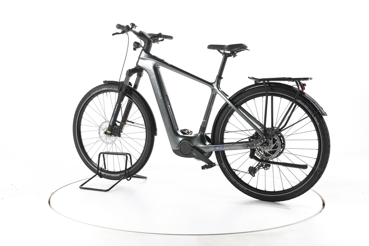 Steppenwolf Transterra Sport 9.1 Trekking E-Bike Carbon 2025 - Image 8