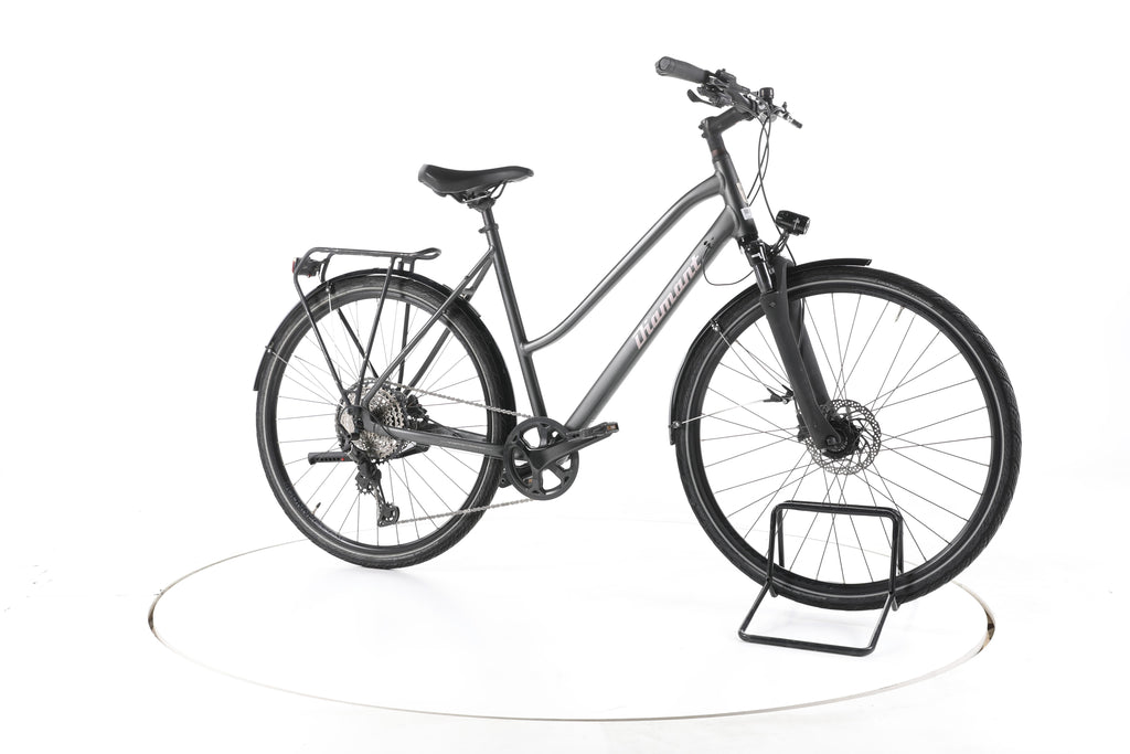 Diamant Elan Grand Deluxe Fahrrad City & Trekking - Image 2
