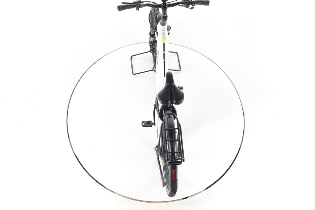 Pegasus Premio Evo 11 Trekking E-Bike - Image 22
