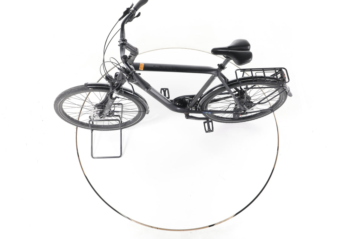 Pegasus Strong SL Fahrrad City & Trekking - Image 19