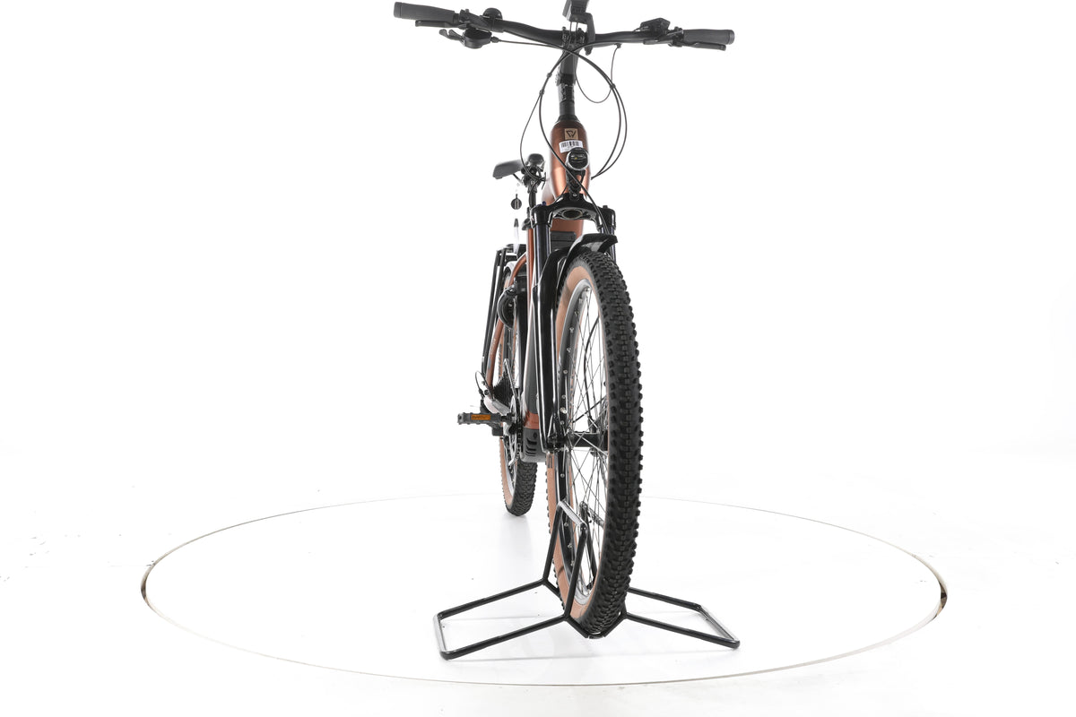Conway Cairon C 2.0 Trekking E-Bike Tiefeinsteiger 2025 - Image 4