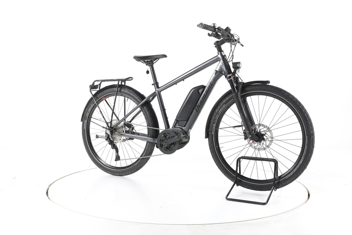 Diamant Zing Deluxe+ Trekking E-Bike - Image 2