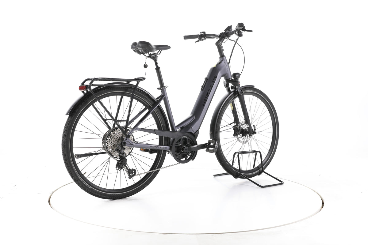 Hercules Pasero Pro I-12 Trekking E-Bike Tiefeinsteiger - Image 12