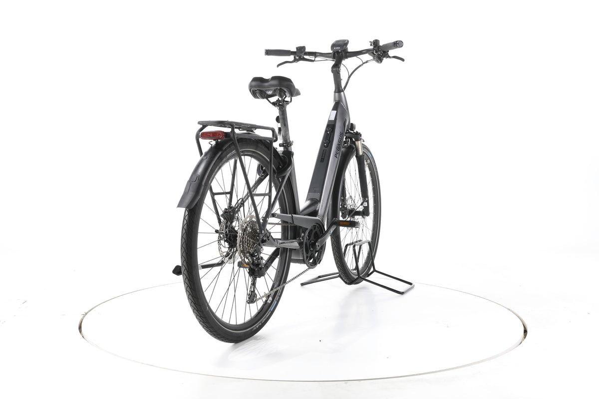 Pegasus Premio Evo 10 Lite Trekking E-Bike Tiefeinsteiger - Image 11
