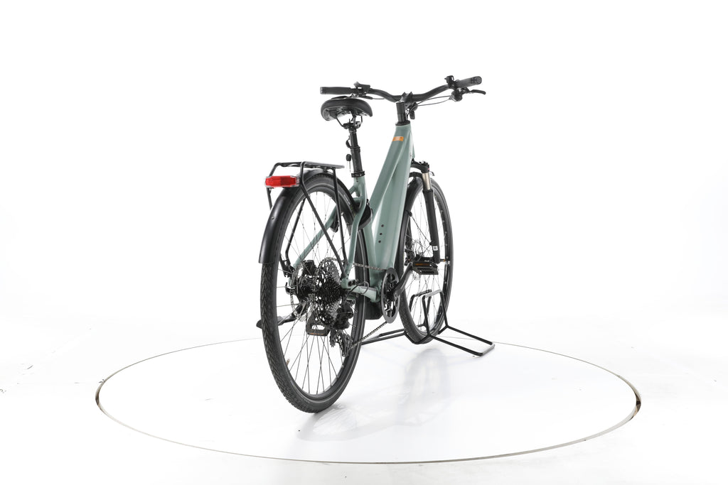 Riese & Müller Roadster Mixte Touring Trekking E-Bike - Image 11