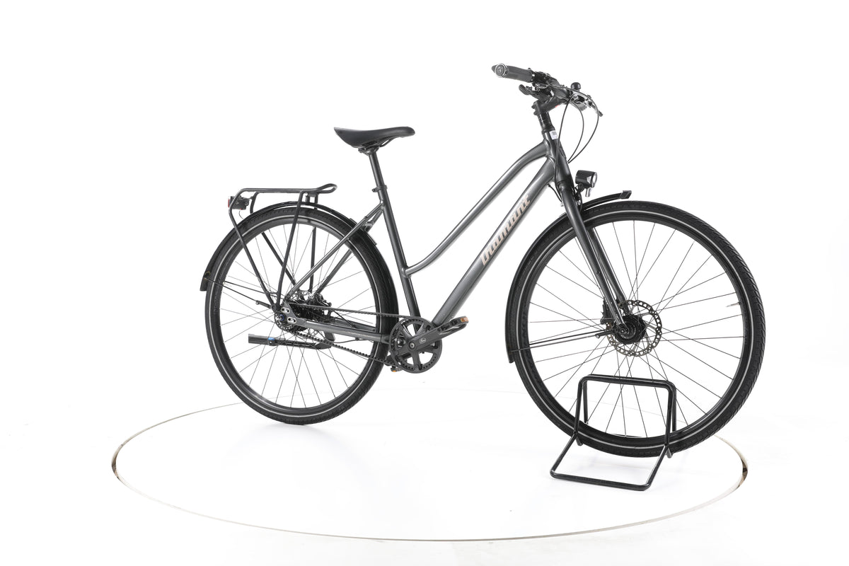 Diamant 247 DeLuxe Fahrrad City & Trekking - Image 2