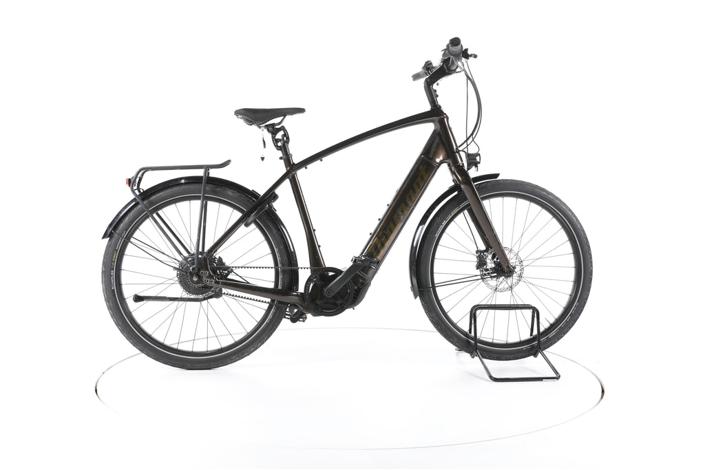 Diamant Opal Esprit+ City E-Bike - Image 1