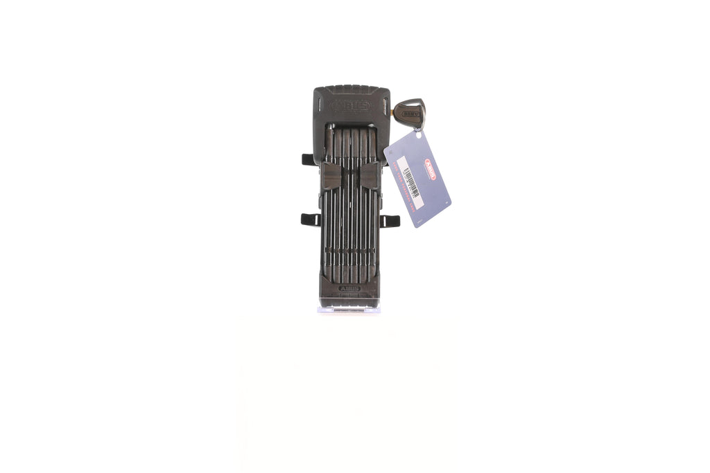 rb-10004368-img-001