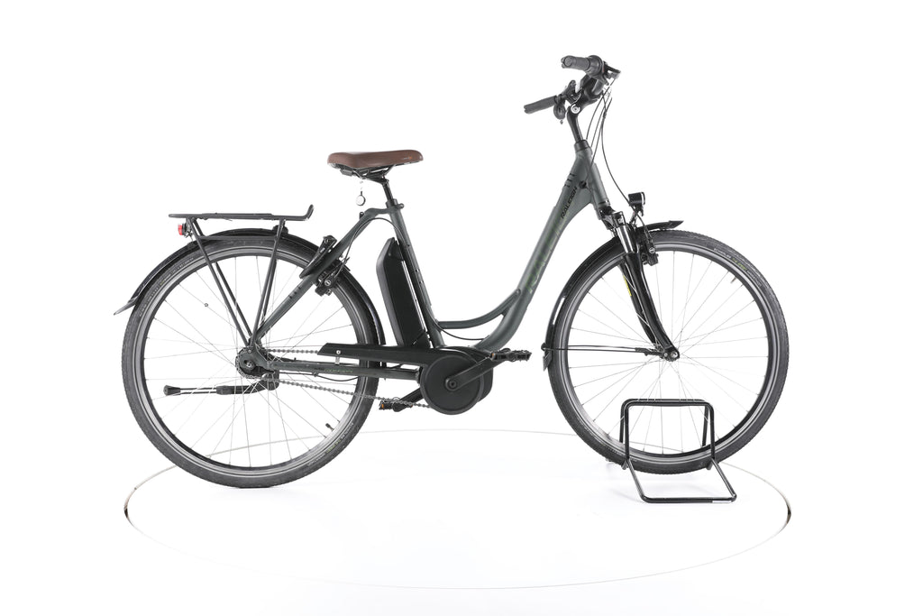 Raleigh Cardiff LB Plus Trekking E-Bike Tiefeinsteiger - Image 1