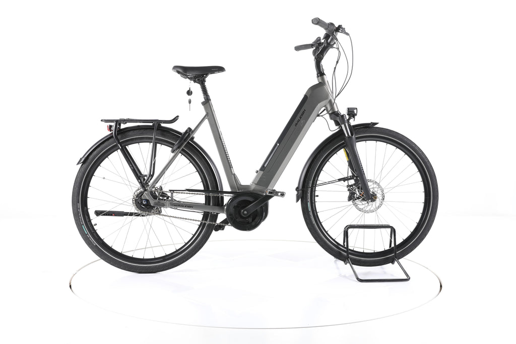 Raleigh Bristol XXL City E-Bike Tiefeinsteiger - Image 1