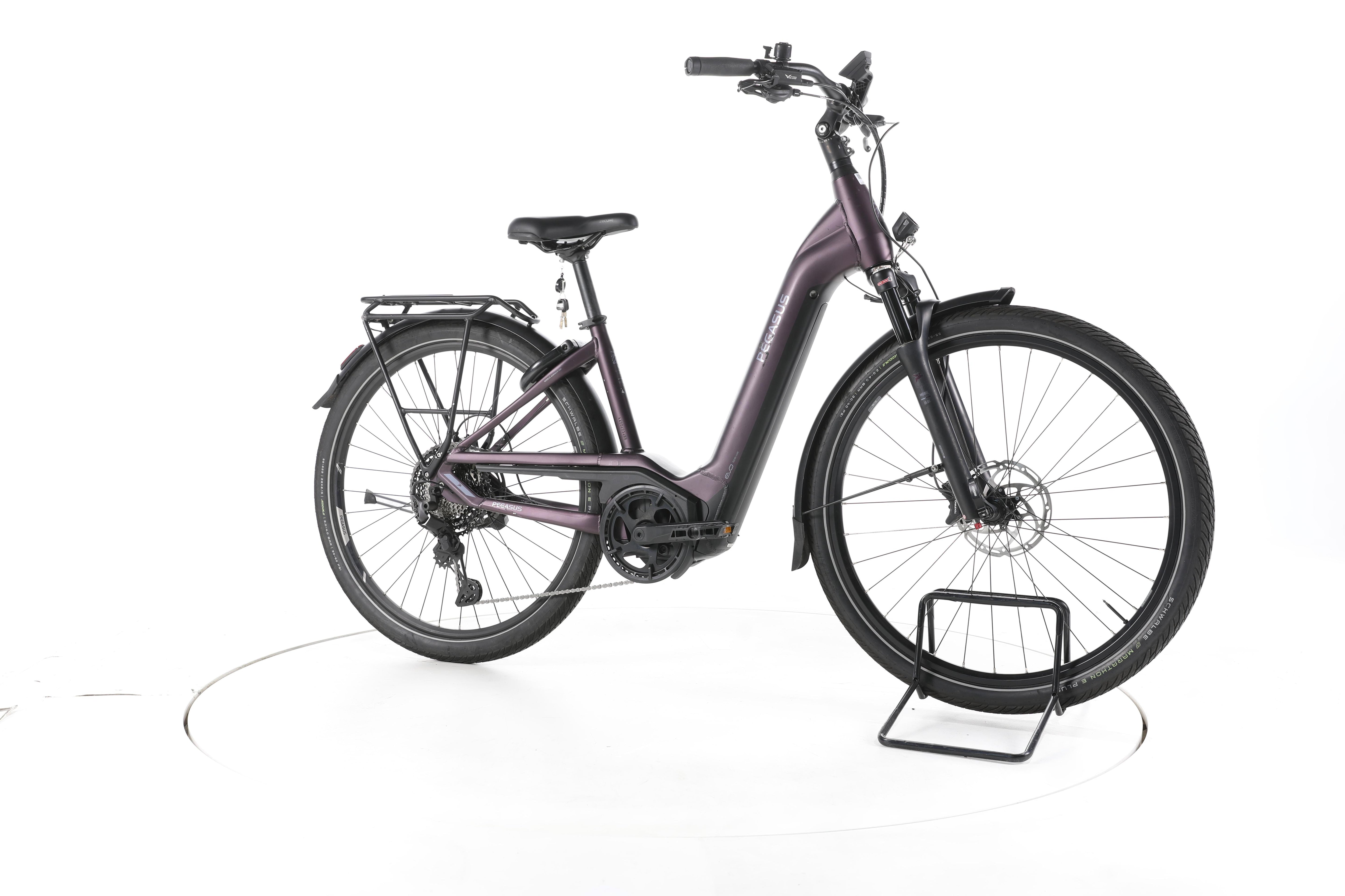 Pegasus Premio Evo 11"40 Years" Trekking E-Bike Tiefeinsteiger - Image 2