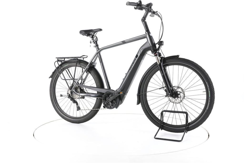 Pegasus Strong Evo 10 Trekking E-Bike - Image 2