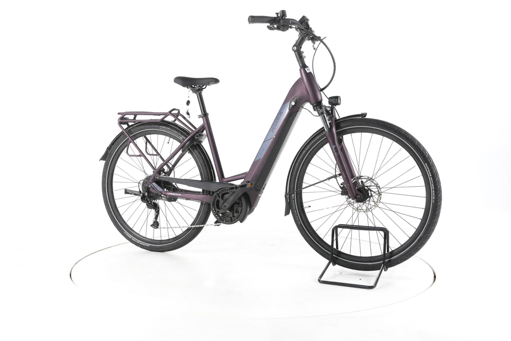 Pegasus Solero EVO 9 Trekking E-Bike Tiefeinsteiger - Image 2