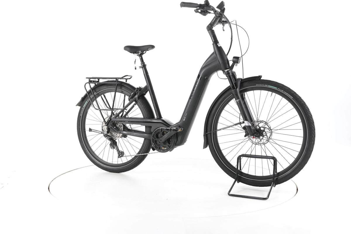Pegasus Strong Evo 12 Lite Trekking E-Bike Tiefeinsteiger - Image 2