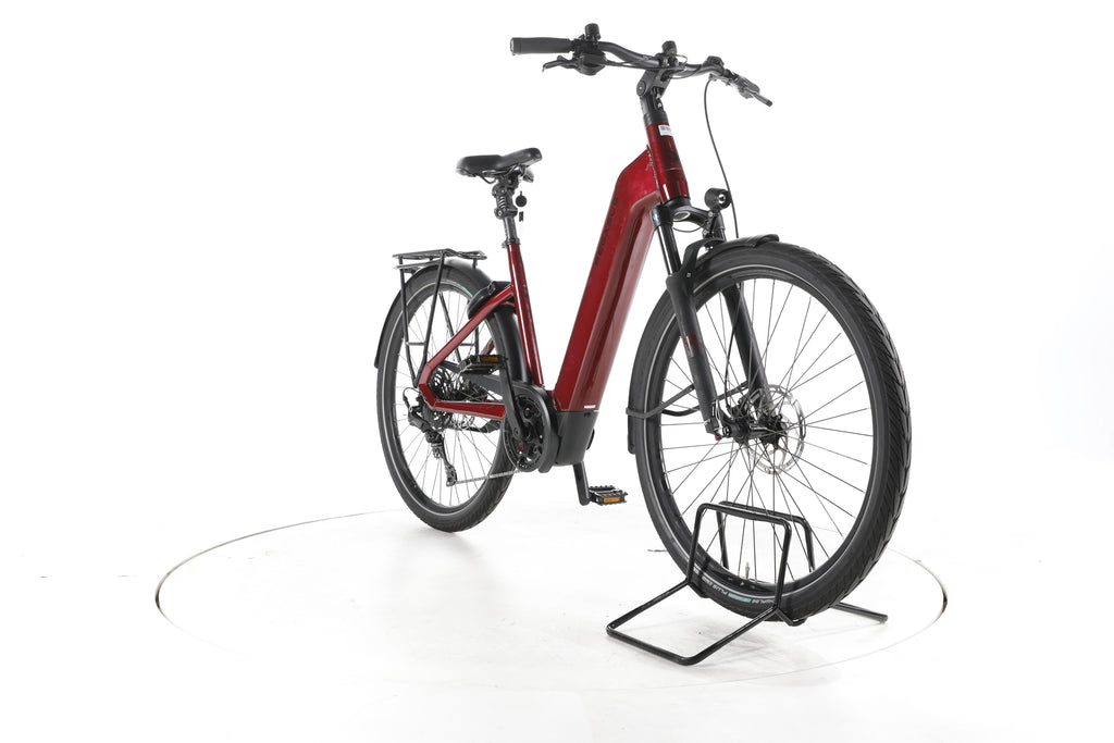Pegasus Strong Evo 10 Lite Trekking E-Bike Tiefeinsteiger 2025 - Image 3