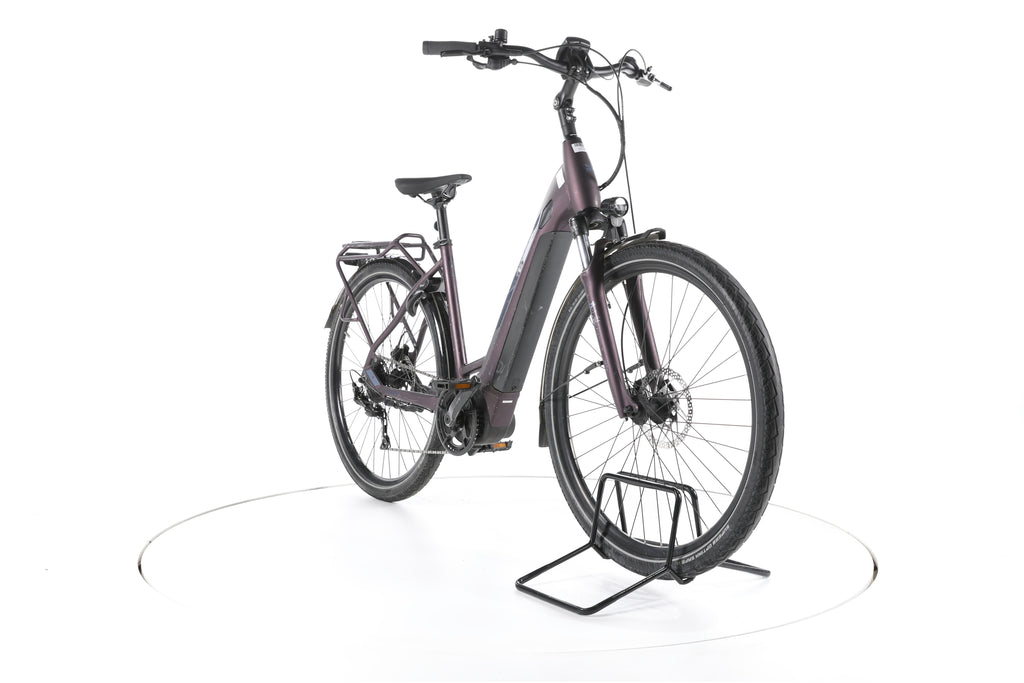 Pegasus Solero Evo 9 Trekking E-Bike Tiefeinsteiger - Image 3