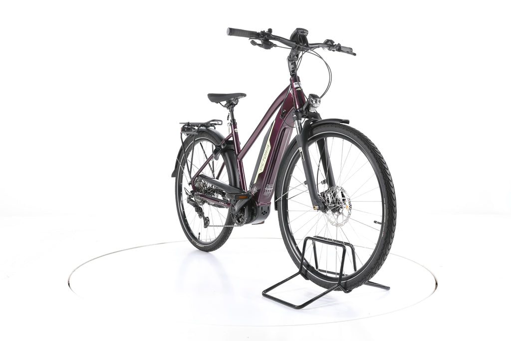 Victoria eTrekking 10.8 Trekking E-Bike - Image 3