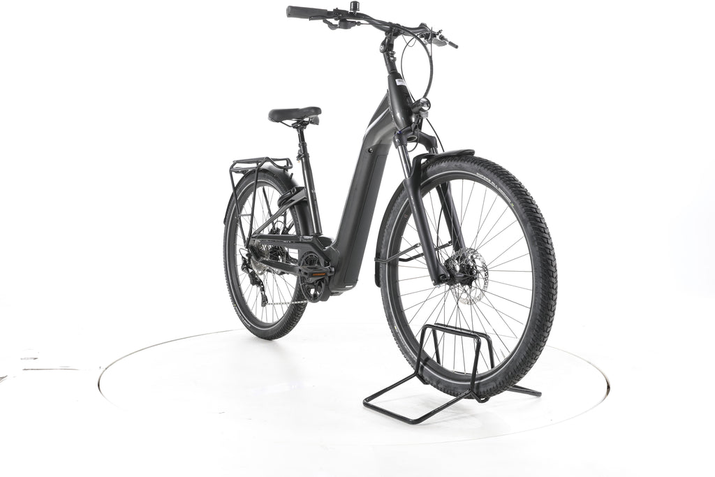 Pegasus Savino Evo 10D Trekking E-Bike Tiefeinsteiger - Image 3