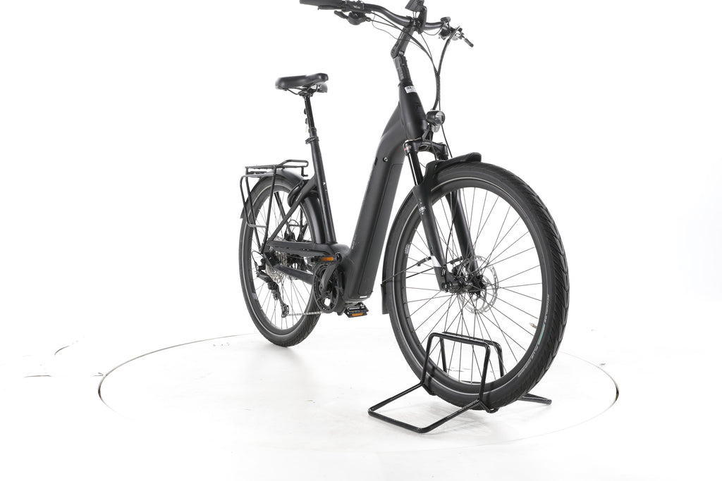 Pegasus Strong EVO 12 Lite Trekking E-Bike Tiefeinsteiger - Image 3