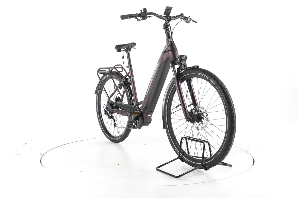 Pegasus Solero EVO 9 Trekking E-Bike Tiefeinsteiger - Image 3
