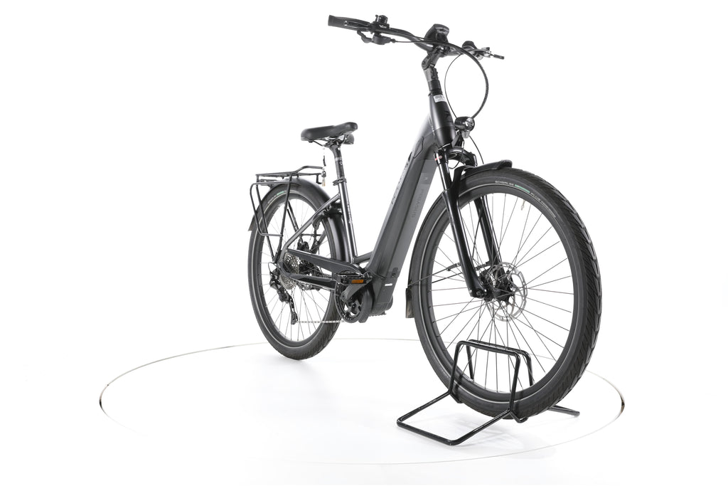 Pegasus Strong Evo 10 Trekking E-Bike Tiefeinsteiger - Image 3