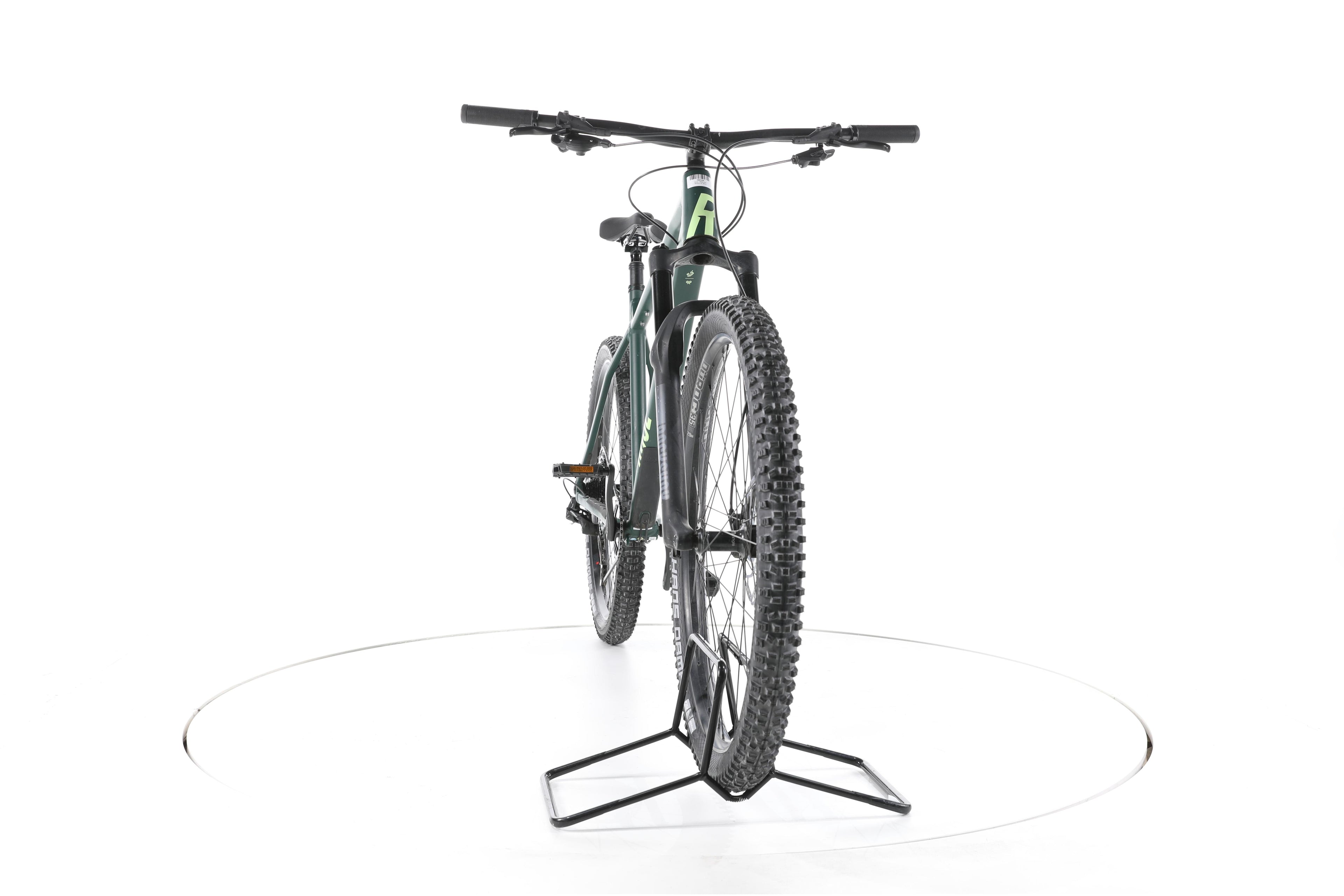 Rose Bonero - Image 4