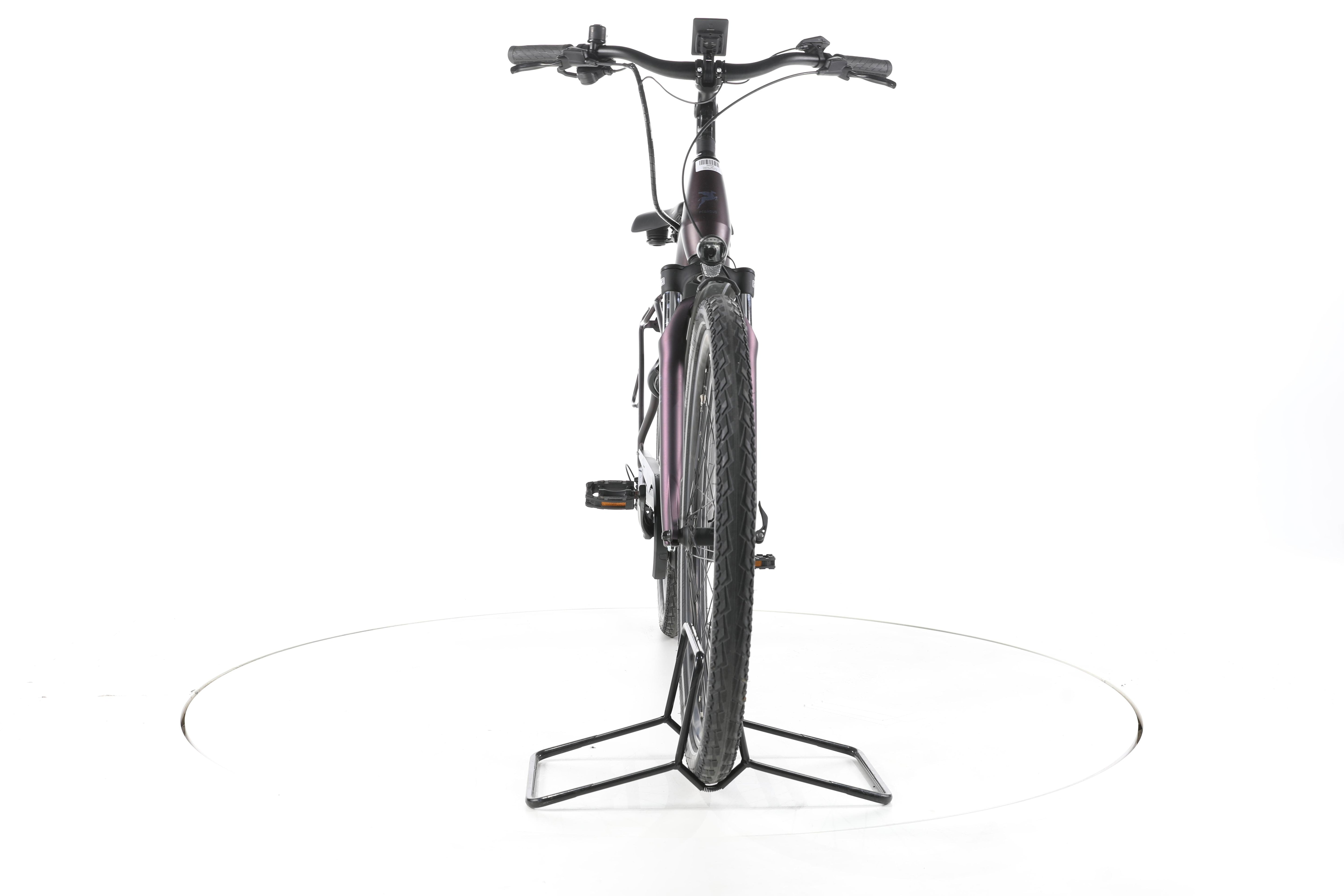 Pegasus Solero EVO 9 Trekking E-Bike Tiefeinsteiger 2024 - Image 4