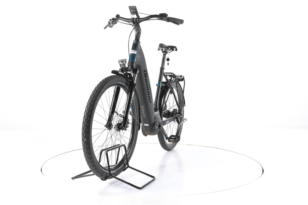 Diamant Beryll RT Gen 3 City E-Bike Tiefeinsteiger 2023 - Image 5