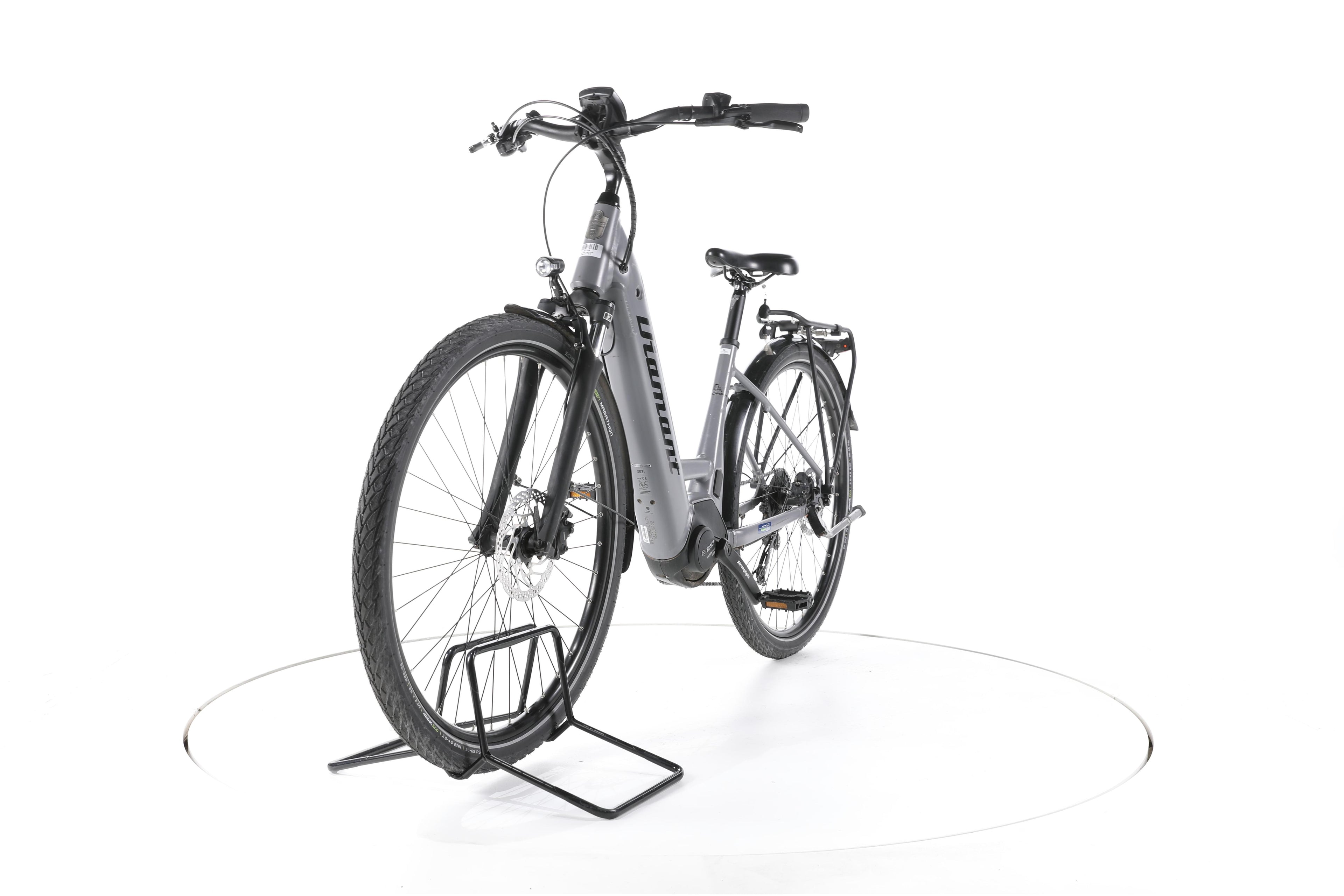 Diamant Mandara + Trekking E-Bike Tiefeinsteiger - Image 5