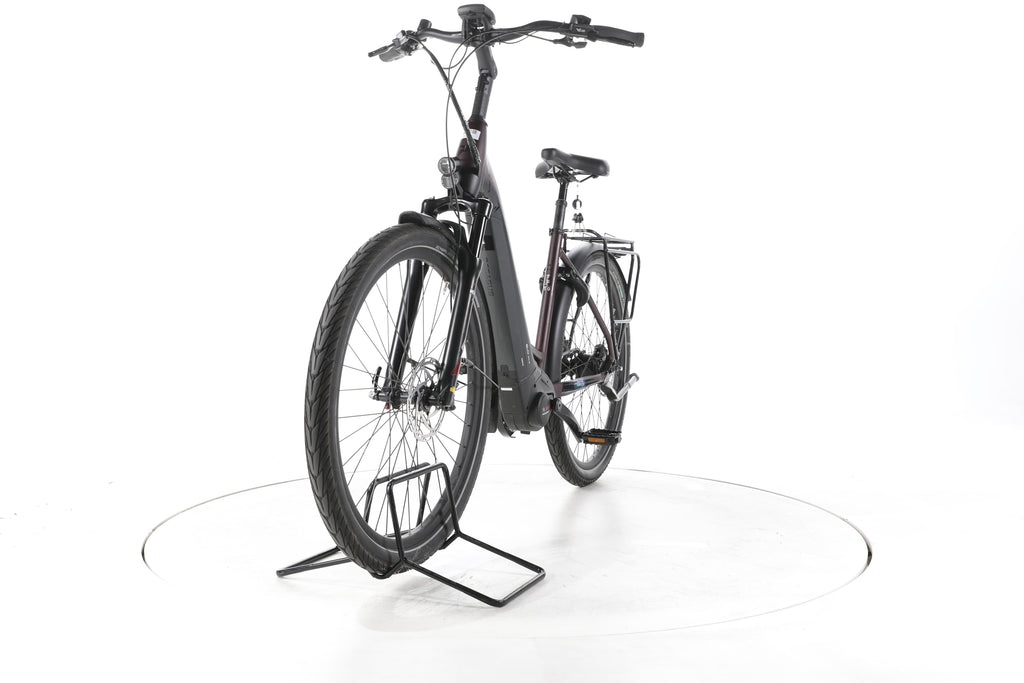 Pegasus Strong EVO 5F City E-Bike Tiefeinsteiger - Image 5