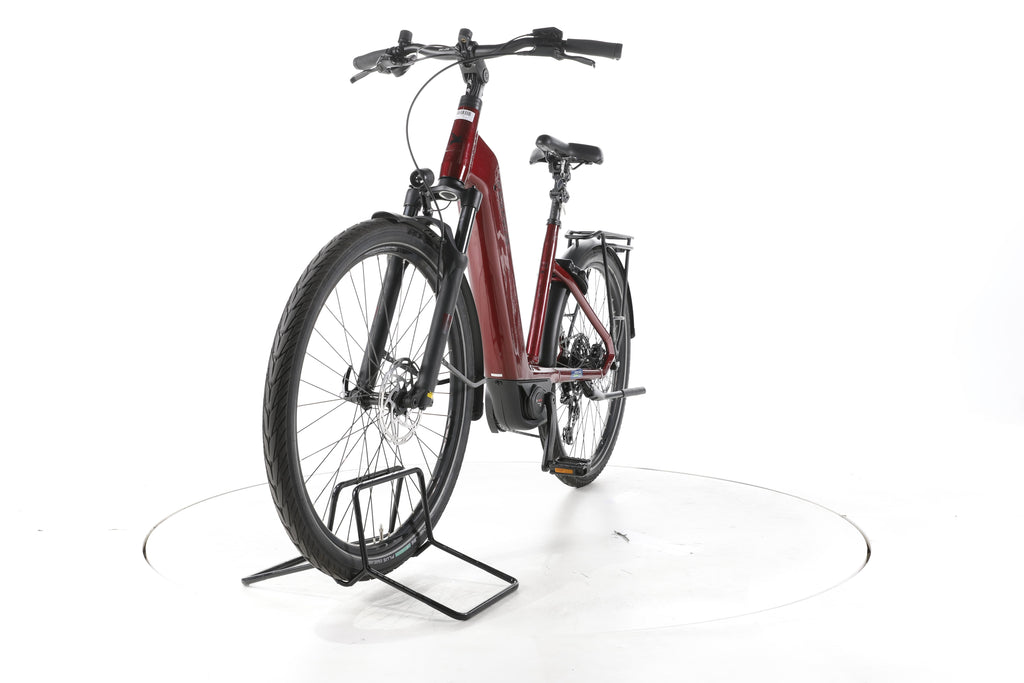 Pegasus Strong Evo 10 Lite Trekking E-Bike Tiefeinsteiger 2025 - Image 5