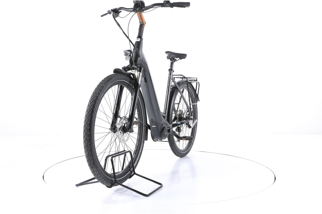 Pegasus Strong EVO 10 Trekking E-Bike Tiefeinsteiger - Image 5