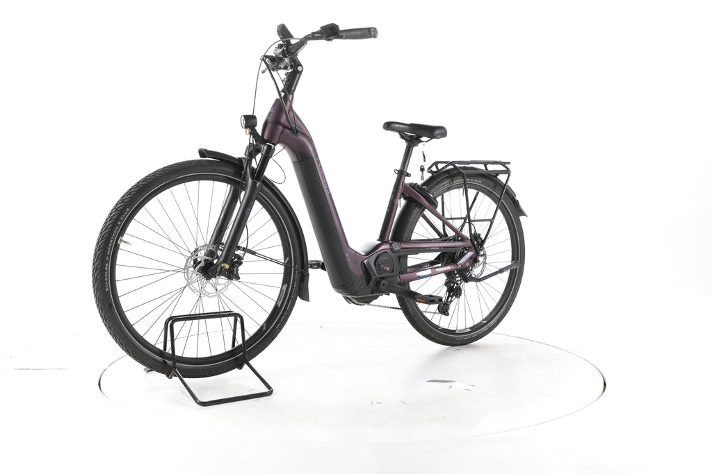Pegasus Premio EVO 11 "40 Years" Trekking E-Bike Tiefeinsteiger - Image 6