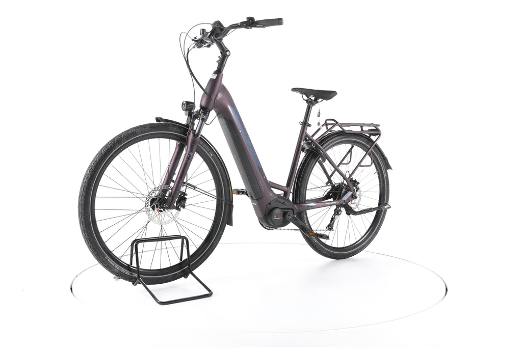 Pegasus Solero Evo 9 Trekking E-Bike Tiefeinsteiger - Image 6