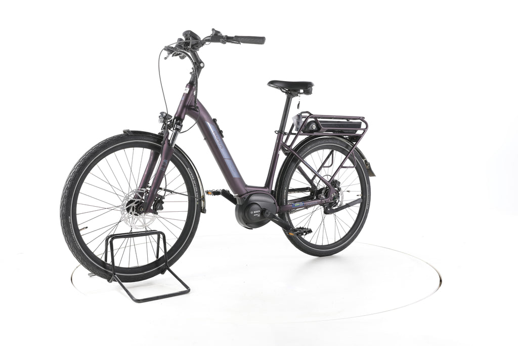 Pegasus Solero E8R Plus City E-Bike Tiefeinsteiger - Image 6