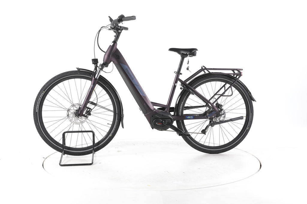 Pegasus Solero Evo 9 Trekking E-Bike Tiefeinsteiger 2024 - Image 7