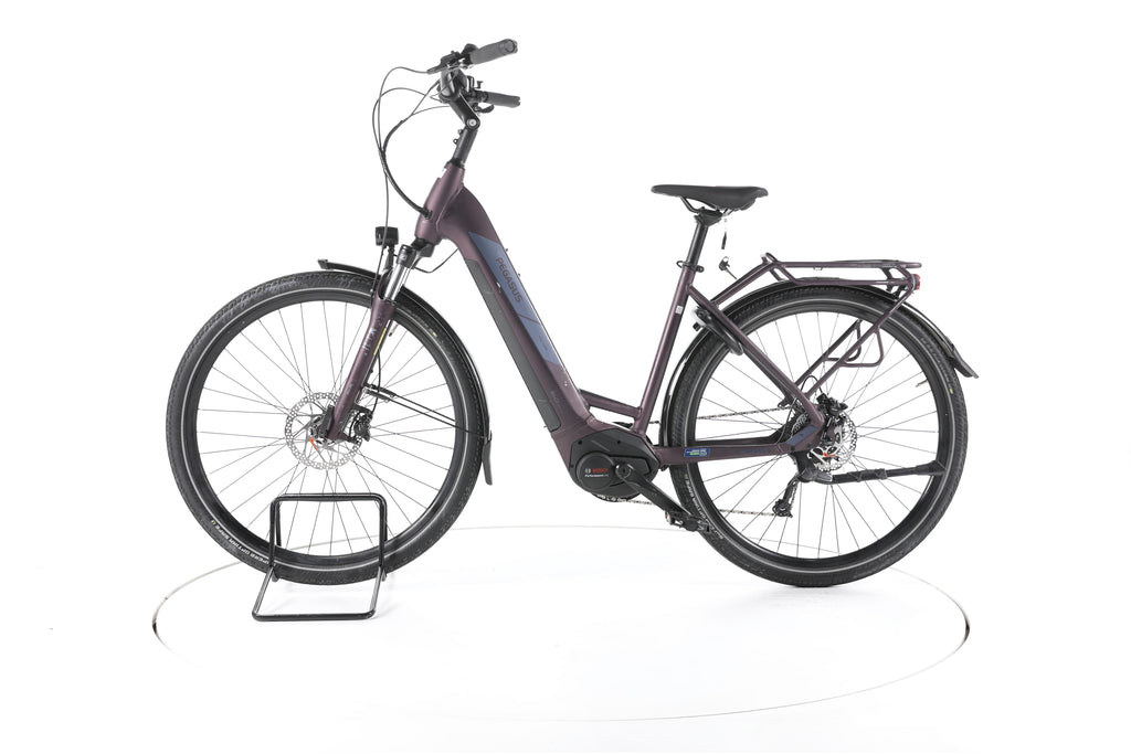 Pegasus Solero Evo 9 Trekking E-Bike Tiefeinsteiger - Image 7