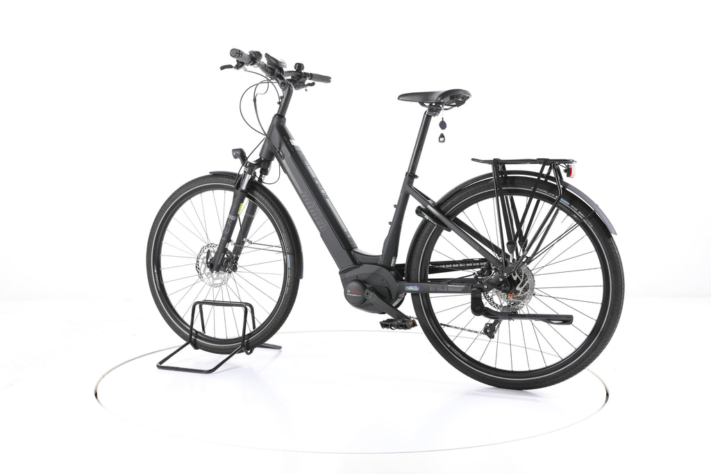 Wittich Bi 10.2 Trekking E-Bike Tiefeinsteiger - Image 8