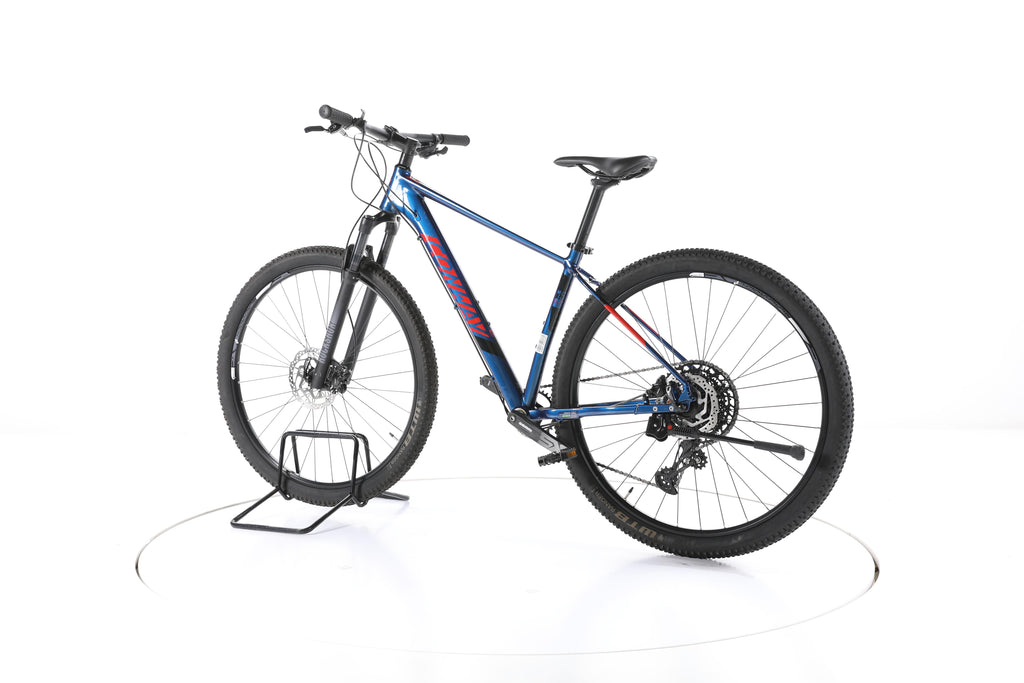 Conway MS 9.9 - Image 8