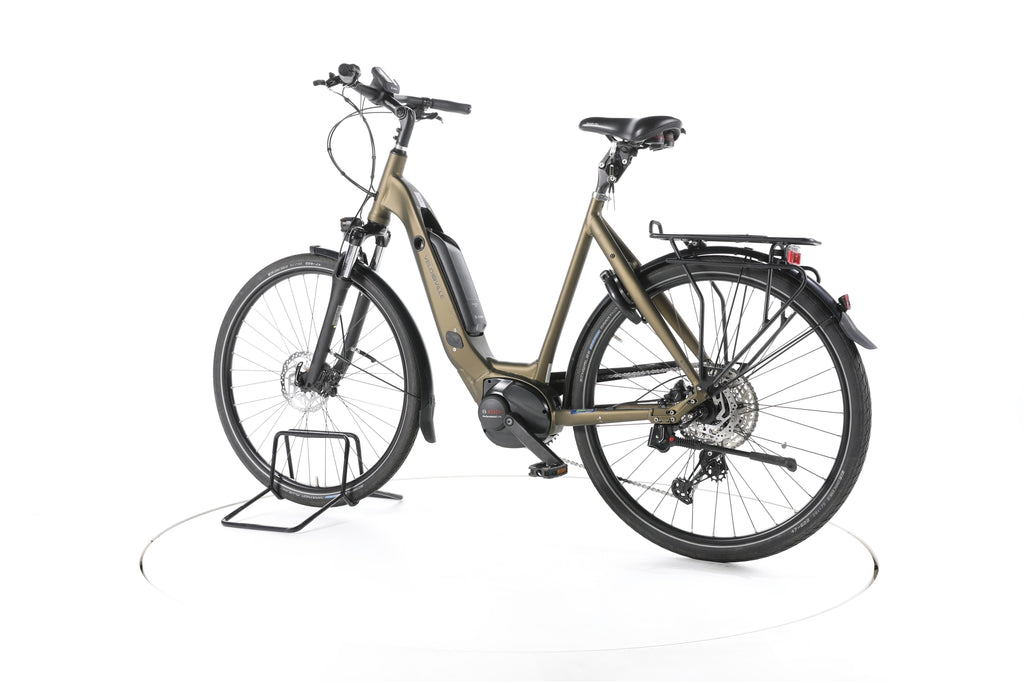 Velo de Ville AEB 800 Trekking E-Bike Tiefeinsteiger - Image 8