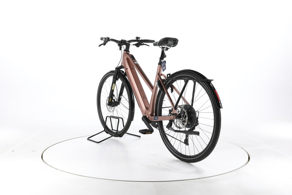 Riese & Müller UBN Seven touring Trekking E-Bike - Image 9