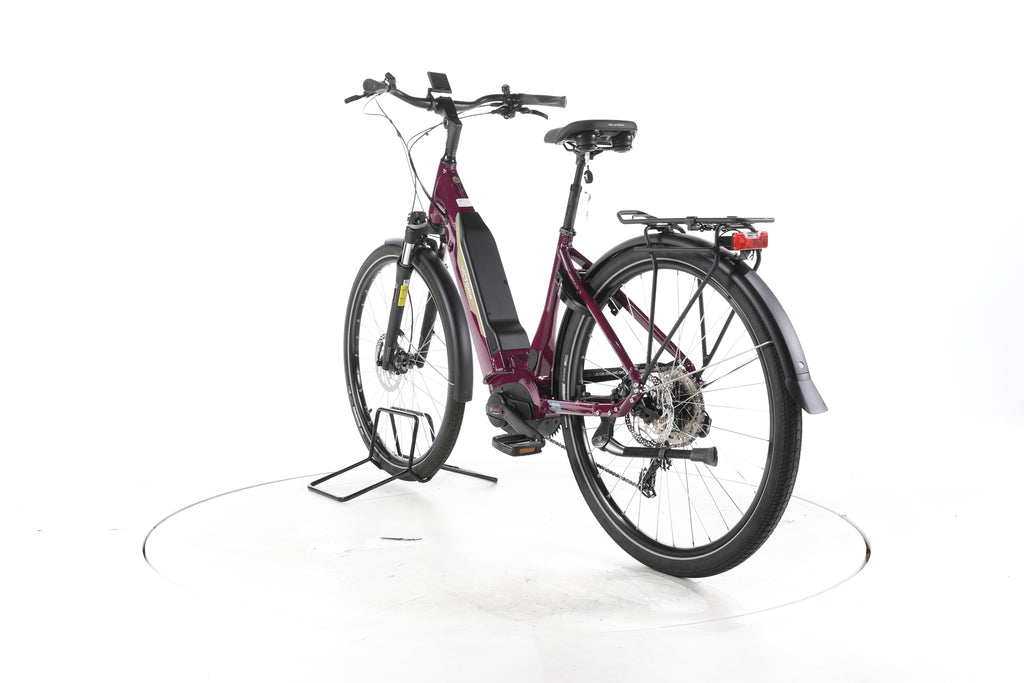 Victoria Tresalo 6 Trekking E-Bike Tiefeinsteiger - Image 9