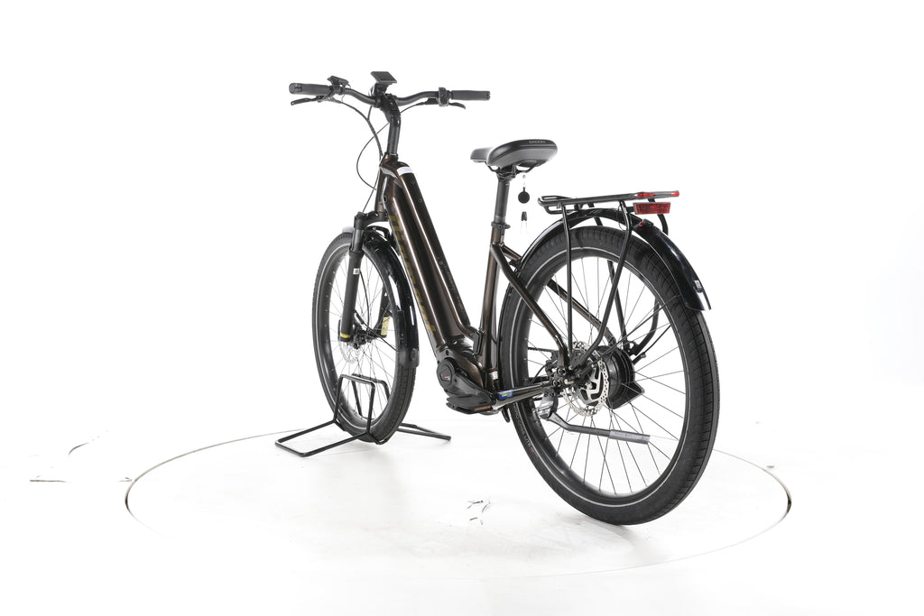 Diamant Opal Esprit City E-Bike Tiefeinsteiger - Image 9