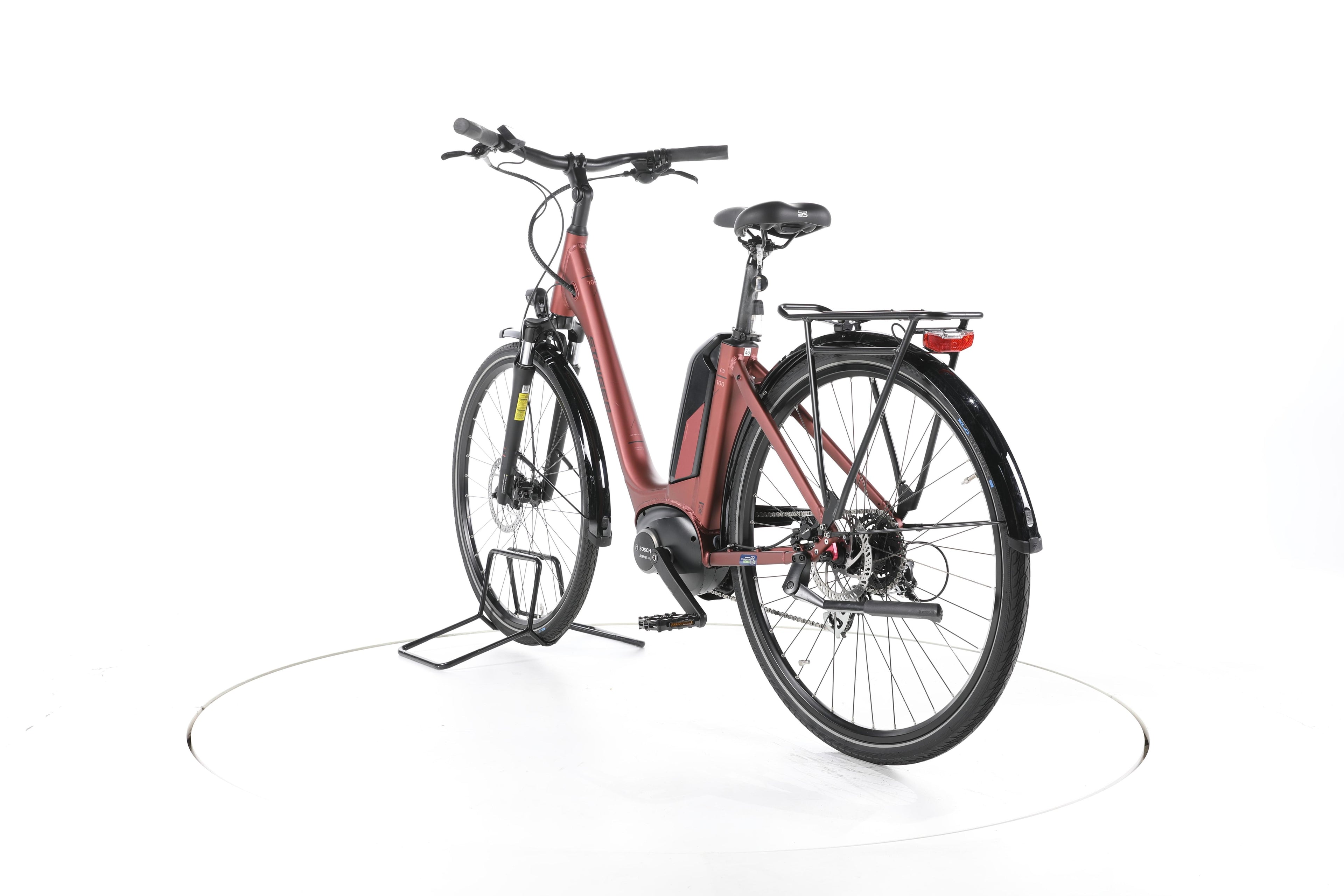 Staiger CB100 Trekking E-Bike Tiefeinsteiger - Image 9