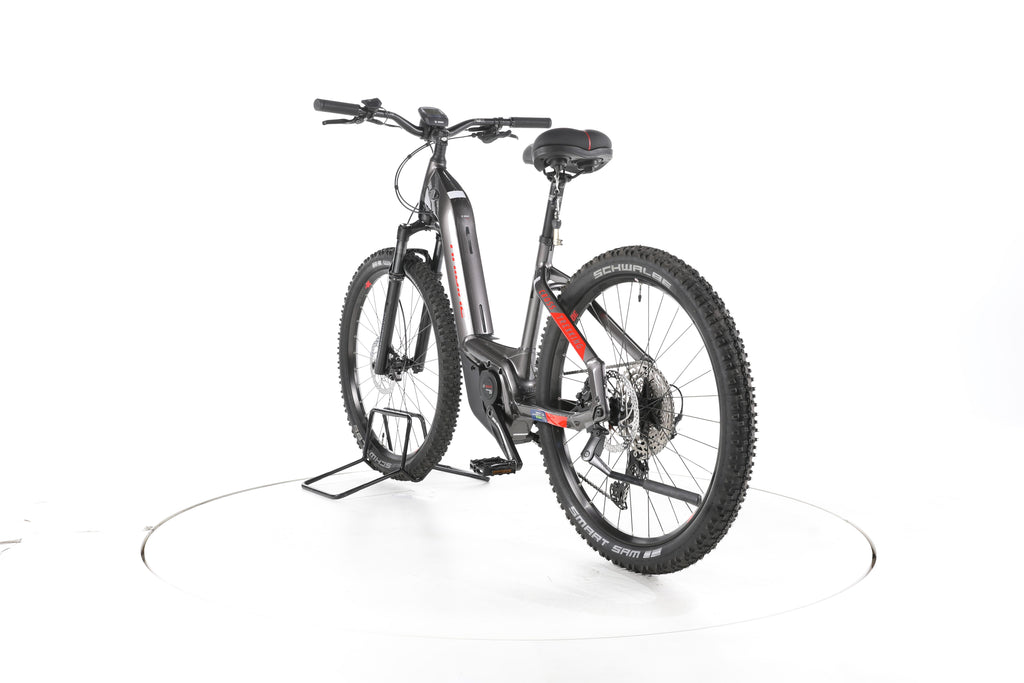 Haibike Trekking 9 Trekking E-Bike Tiefeinsteiger - Image 9