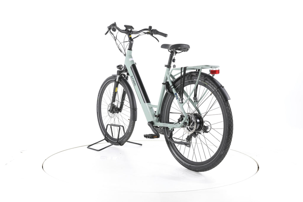 LLobe Utah 2.1 Trekking E-Bike Tiefeinsteiger - Image 9