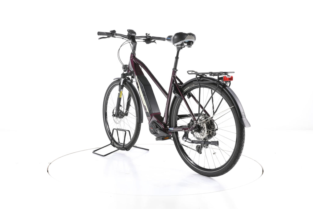 Victoria eTrekking 10.8 Trekking E-Bike - Image 9